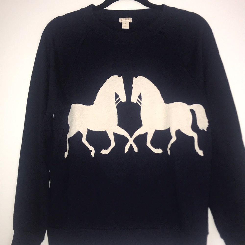 Beautiful Jcrew Sweater